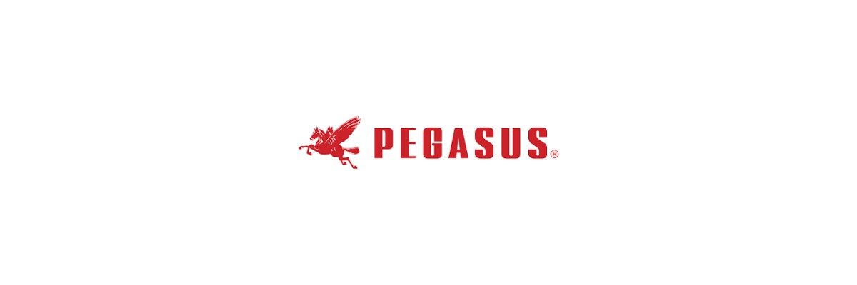 Pegasus Pegasus